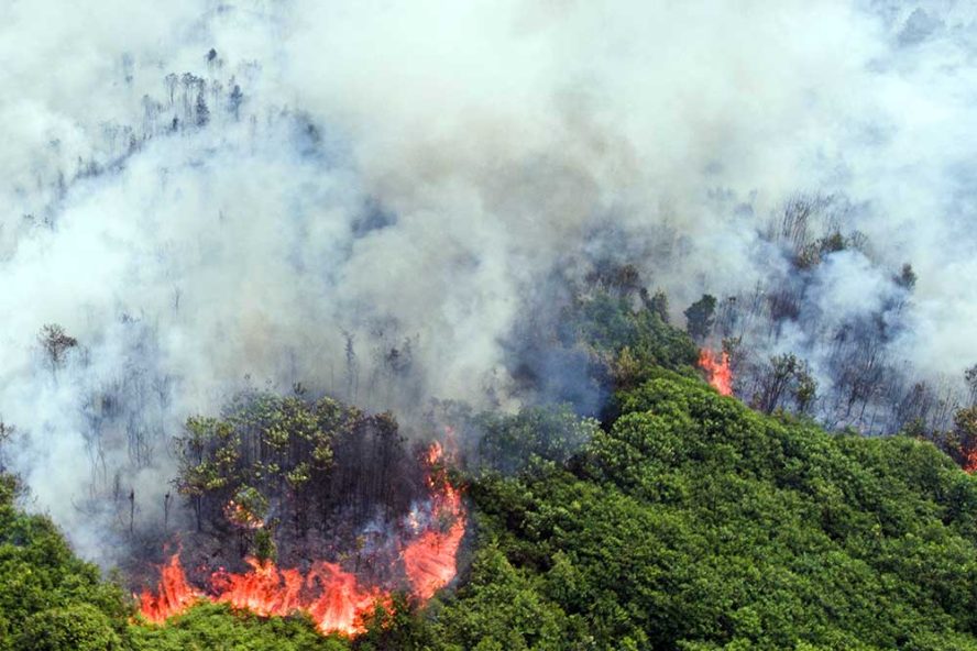 kebakaran di Kalimantan
